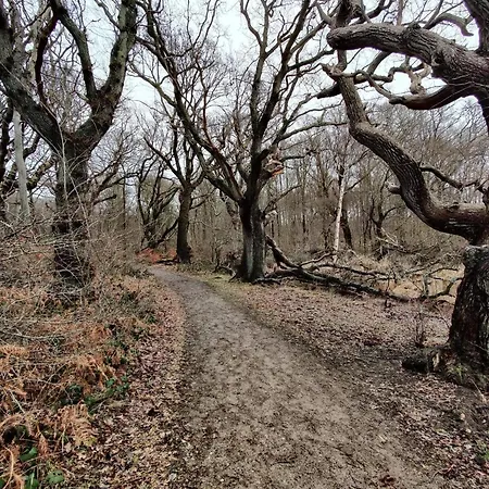 Seaside Haven In Stoense-by Traum Casa de Férias *