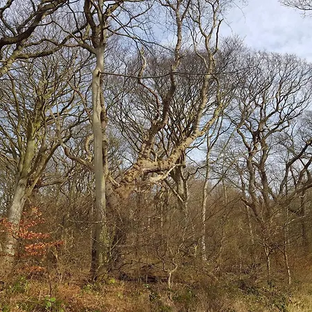 Seaside Haven In Stoense-by Traum Casa de Férias *