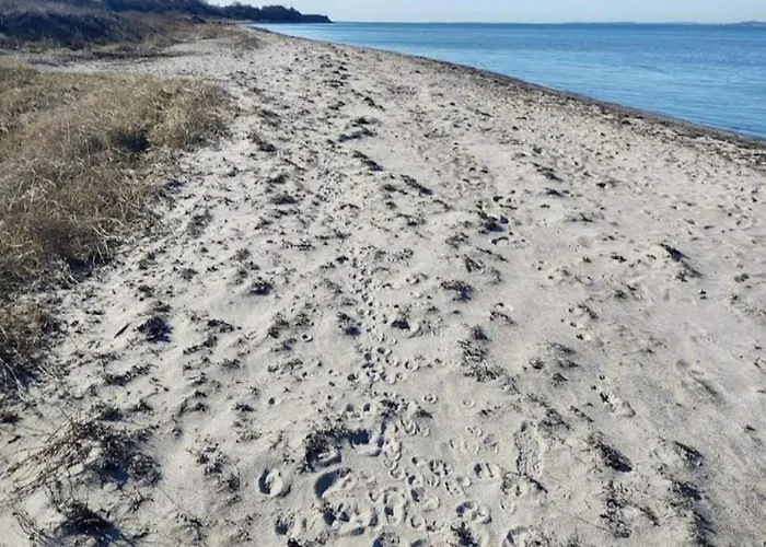 Seaside Haven In Stoense-by Traum