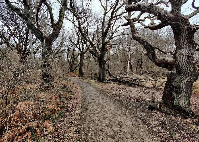 Seaside Haven In Stoense-by Traum Casa de Férias *