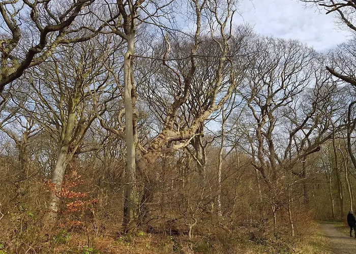Seaside Haven In Stoense-by Traum Casa de Férias *